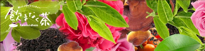 無理なく痩せれるダイエットティー【飲まなく茶】お試し10包 情報サイト